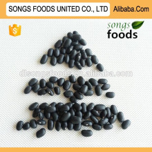 Black kidney beans trading companies